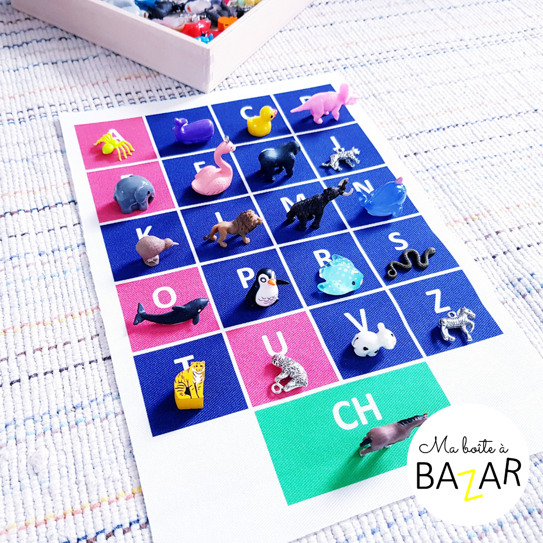 Maternelle grande section