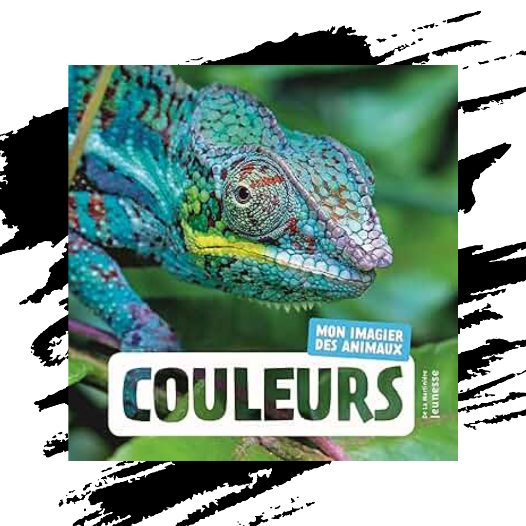 Livres jeunesse pour apprendre les couleurs en maternelle