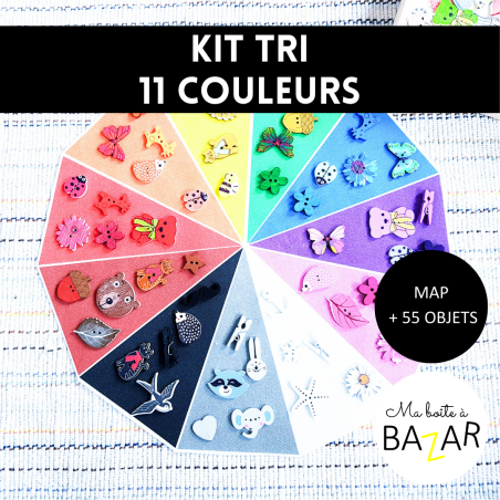 Kit de tri 11 couleurs Montessori : apprendre à observer, comparer et distinguer les nuances