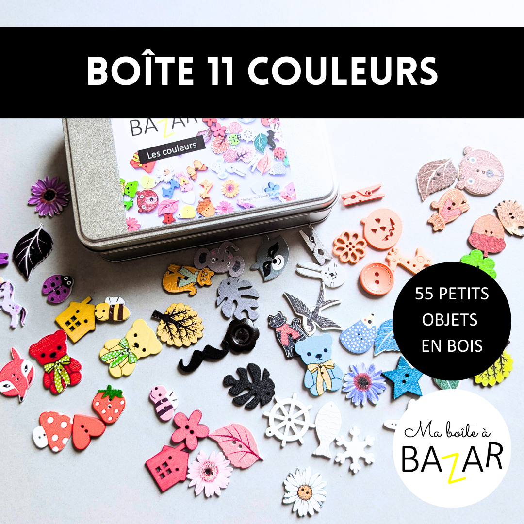 Boîte 55 objets en bois – Tri des couleurs Montessori (11 couleurs)