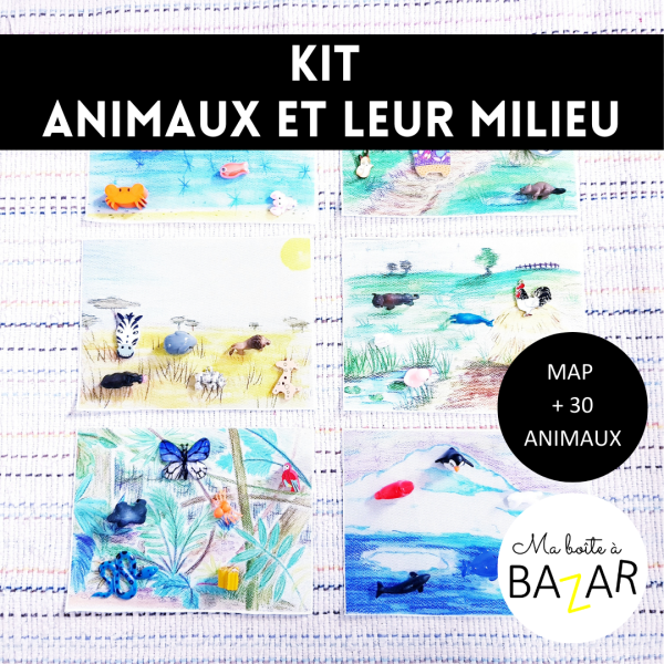 Kit Les animaux et leur milieu – Tri par habitat et écosystème