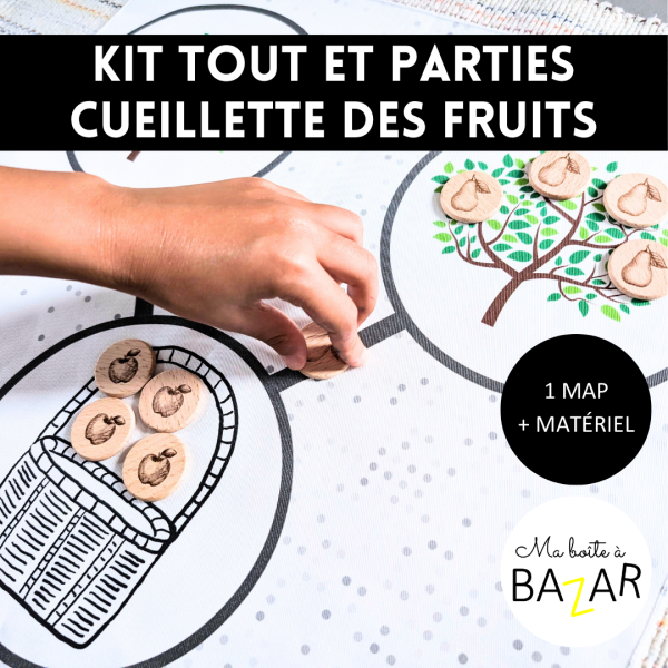 Kit mathématique “Tout et parties – Fruits d’automne” - Méthode Singapour en maternelle