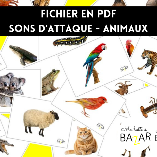 PDF – Sons d’attaque des animaux