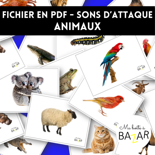 PDF – Sons d’attaque des animaux