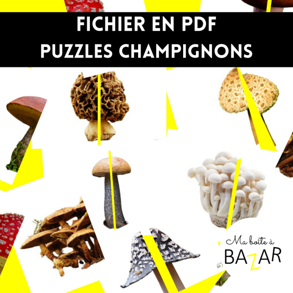 Puzzles Champignons – 28 cartes à découper pour explorer et observer la nature