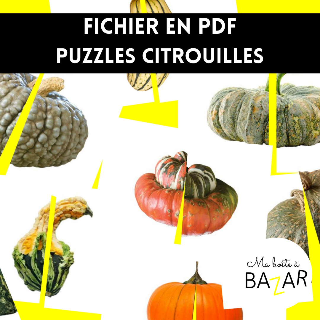 Puzzles Citrouilles – 28 puzzles réalistes pour découvrir les courges et potirons