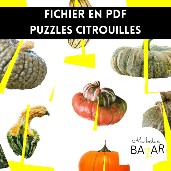 Puzzles Citrouilles – 28 puzzles réalistes pour découvrir les courges et potirons