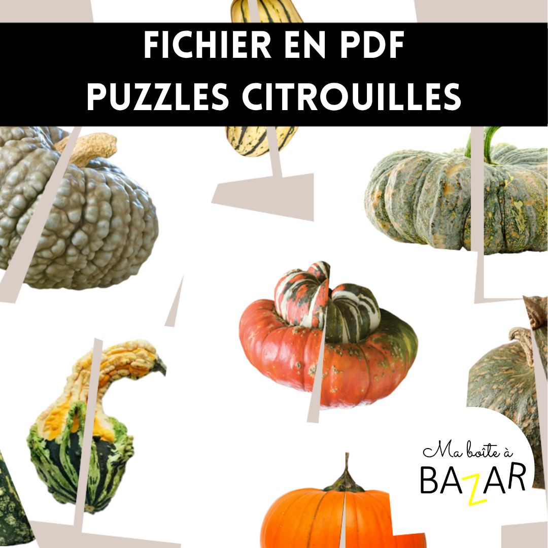Puzzles Citrouilles – 28 puzzles réalistes pour découvrir les courges et potirons