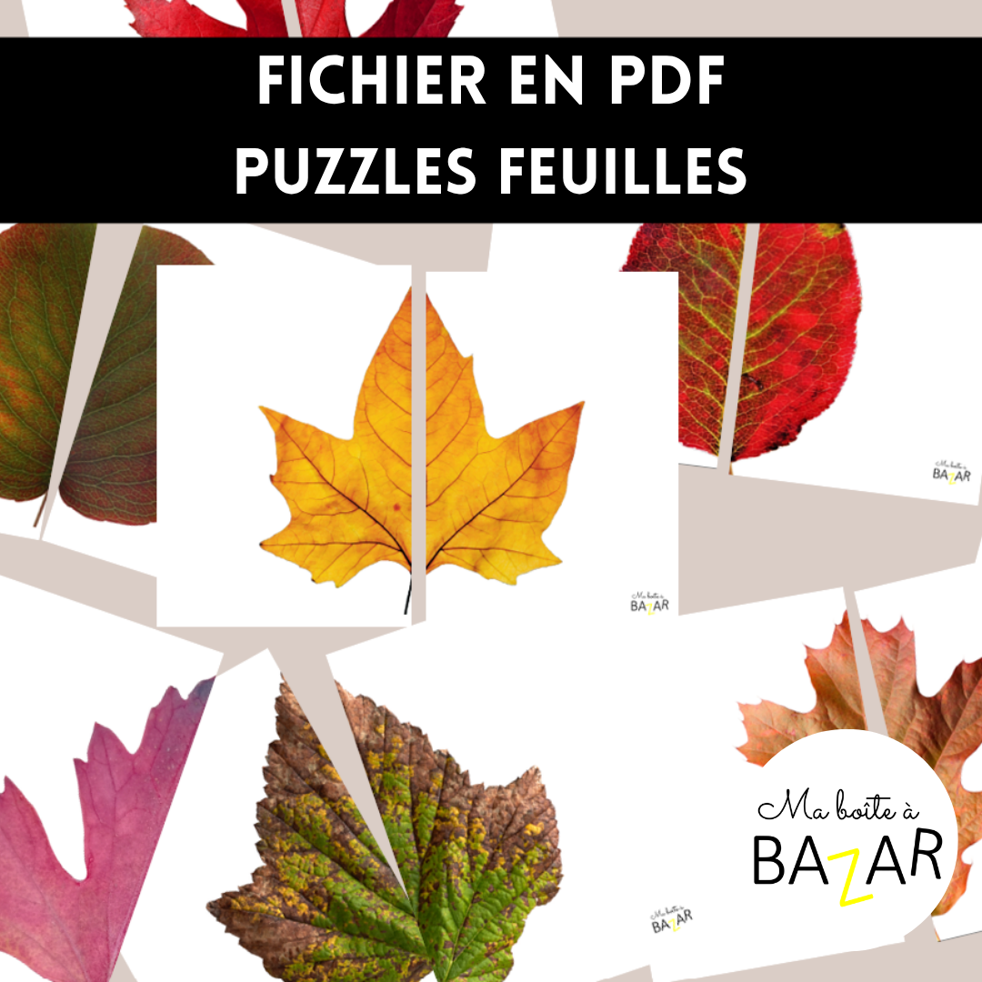 Puzzles Feuilles d’Automne – 28 puzzles à imprimer pour explorer les formes et couleurs des feuilles
