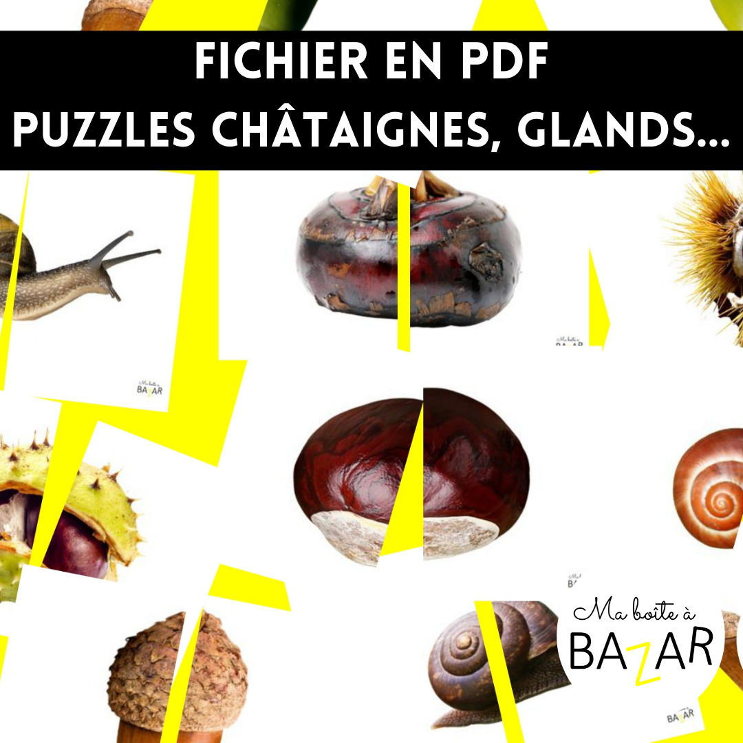 Fichier PDF – Puzzles Marrons, Glands et Trésors d’Automne