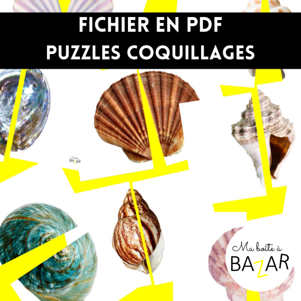 Puzzles Coquillages – 28 puzzles à 2 pièces pour explorer les merveilles de la mer plage