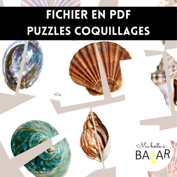 Puzzles Coquillages – 28 puzzles à 2 pièces pour explorer les merveilles de la mer plage
