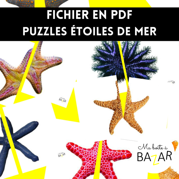 Puzzles Étoiles de mer – 28 puzzles à 2 pièces pour découvrir la faune marine plage