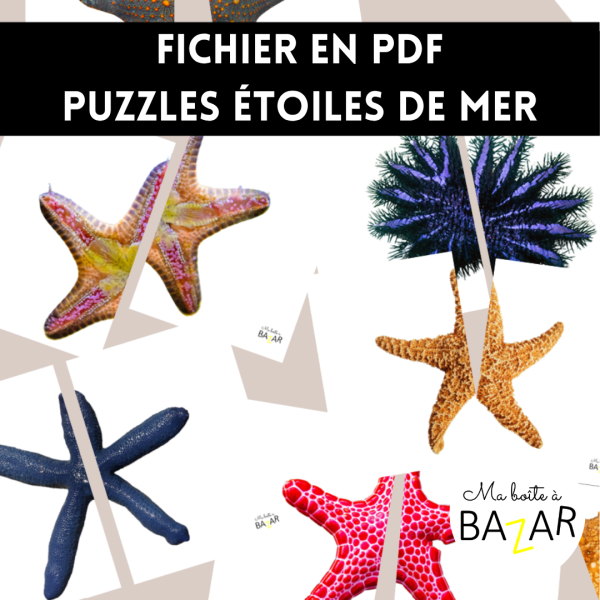 Puzzles Étoiles de mer – 28 puzzles à 2 pièces pour découvrir la faune marine plage