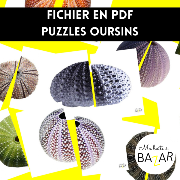 Puzzles Oursins – 28 puzzles d’observation sur la faune marine plage