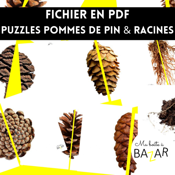 Puzzles Pommes de pin et Racines – PDF à imprimer