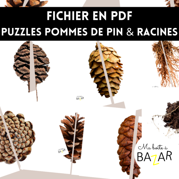 Puzzles Pommes de pin et Racines – PDF à imprimer