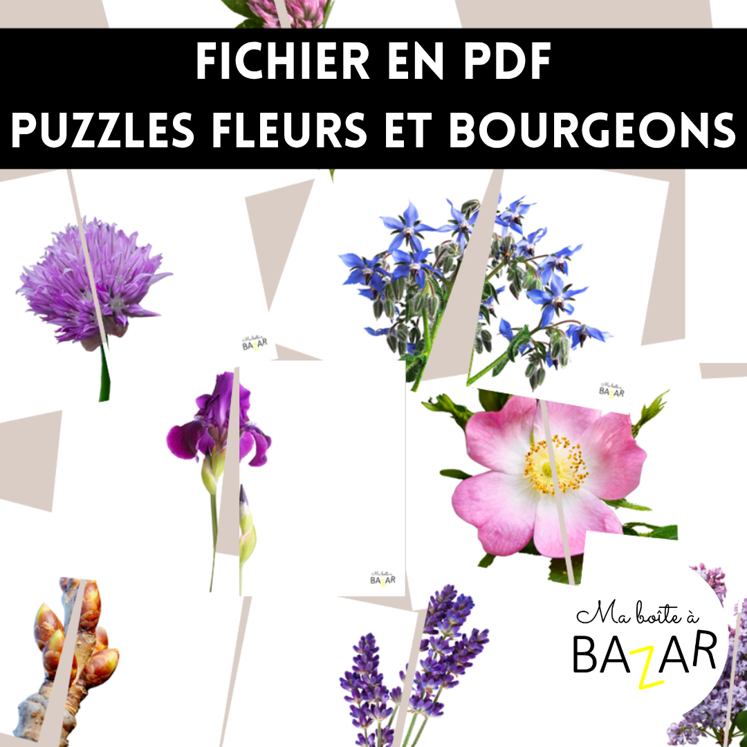 Puzzles Fleurs & Bourgeons – 32 cartes à assembler pour explorer le monde végétal