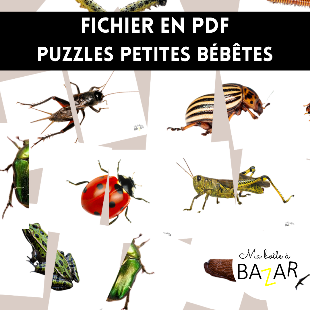 Puzzles Petites Bébêtes – Fichier PDF éducatif à imprimer