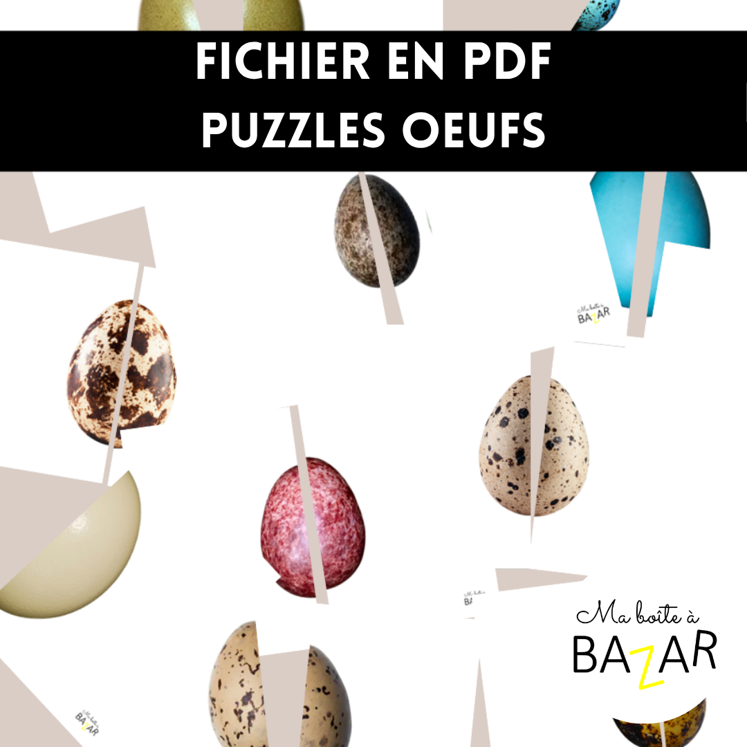 Puzzles œufs d’oiseaux – PDF à imprimer