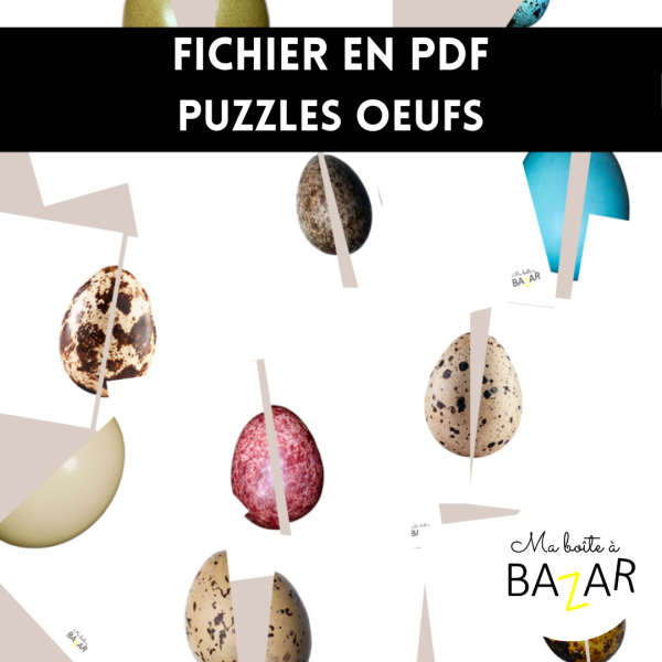 Puzzles œufs d’oiseaux – PDF à imprimer