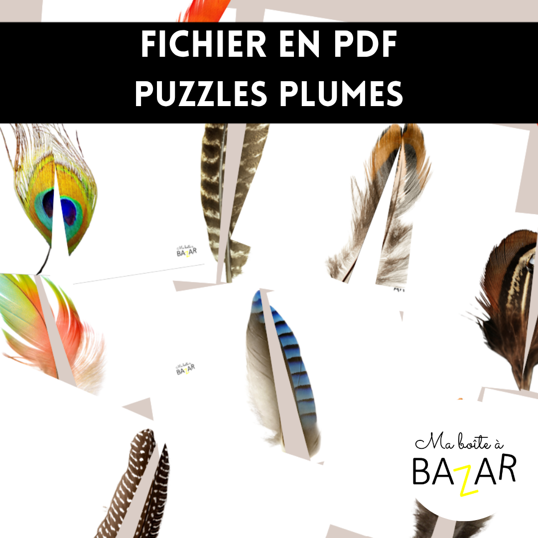 Puzzles éducatifs sur les plumes d’oiseaux – 28 modèles à découper