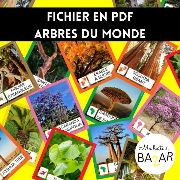 Arbres du Monde – Cartes à classer par continent