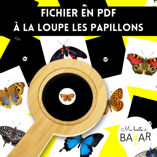Papillons à la loupe – Activité sensorielle pour affiner l’observation