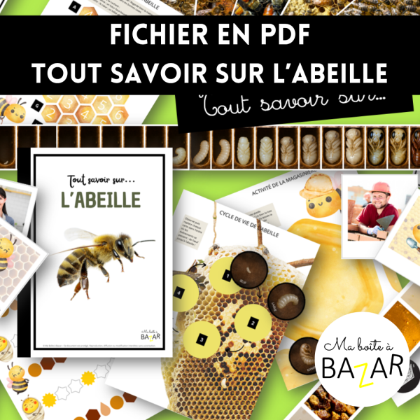 Tout savoir sur l’abeille – Cahier d’activités PDF dès 4 ans
