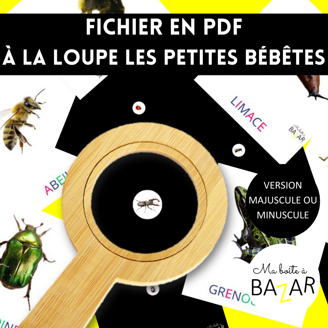 À la loupe – Les petites bébêtes (PDF) insectes printemps