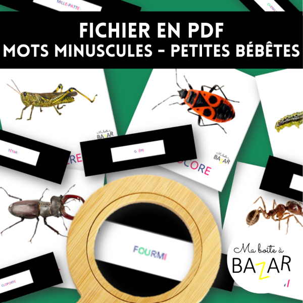 Mots minuscules des petites bêtes – Lecture et observation ludique dès la maternelle insecte printemps