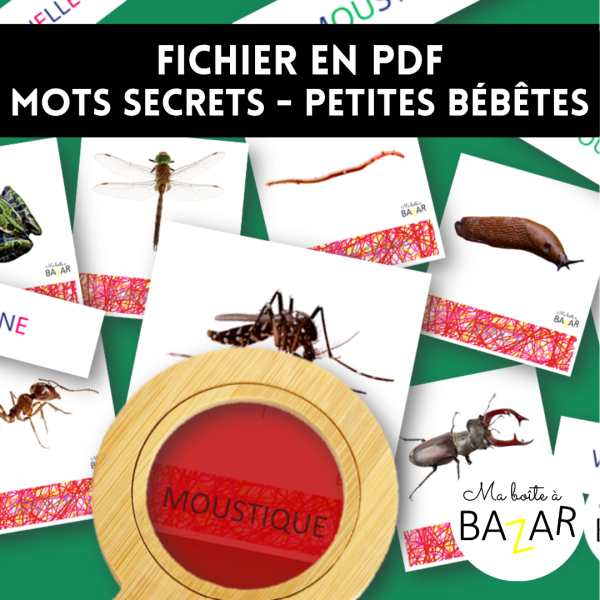 Mots secrets – Petites Bébêtes (PDF à imprimer) insectes printemps