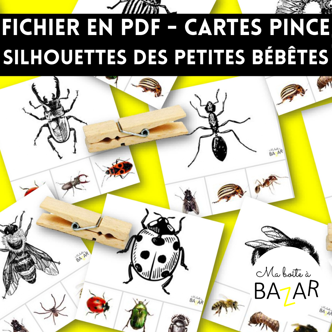 Cartes pinces – Silhouettes des petites bébêtes