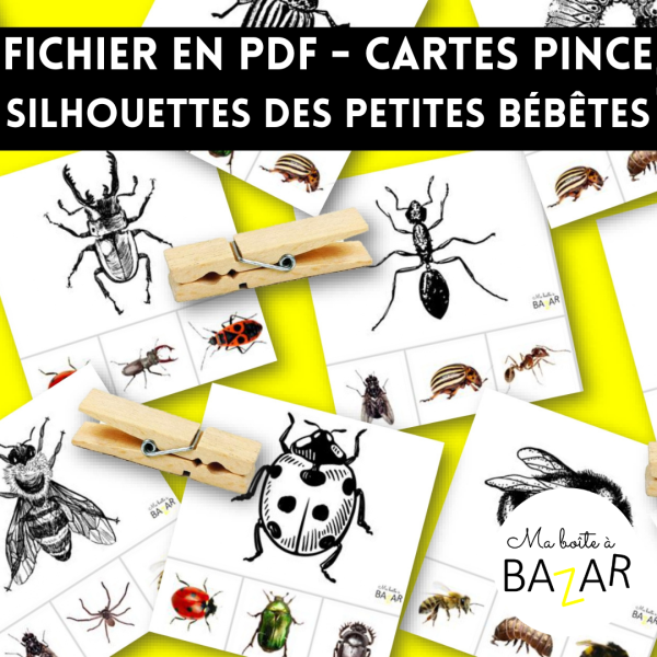 Cartes pinces – Silhouettes des petites bébêtes