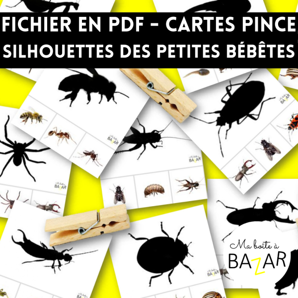 Cartes Montessori à pinces – Associe les silhouettes aux insectes et autres petites bébêtes