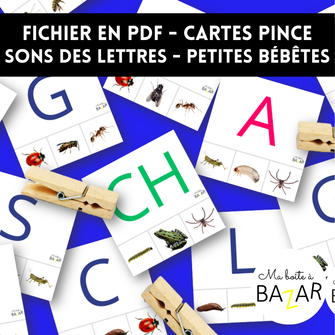 Cartes pinces à linge – Sons des lettres / petites bébêtes et insectes Montessori