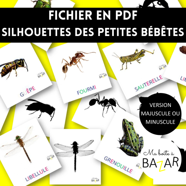 Silhouettes des petites bébêtes – Activité d’observation insectes Montessori