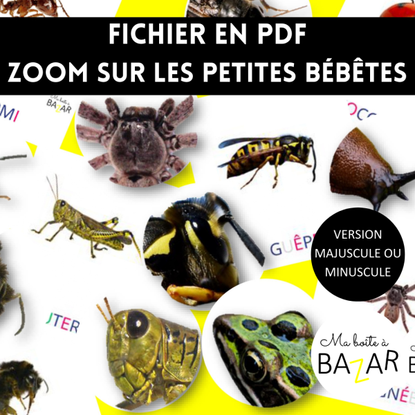 Zoom sur les petites bébêtes – Fichier PDF d’observation pour enfants (IEF, classe, Montessori)