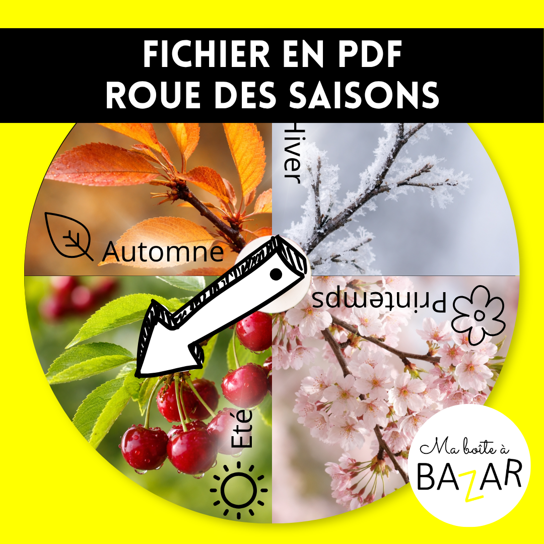 Roue des saisons Montessori – Observer, comprendre et ressentir le temps qui passe
