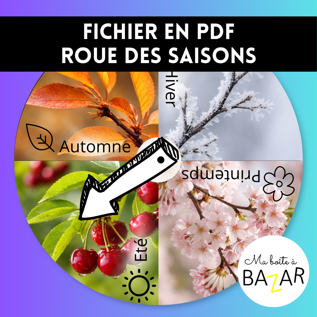 Roue des saisons Montessori – Observer, comprendre et ressentir le temps qui passe