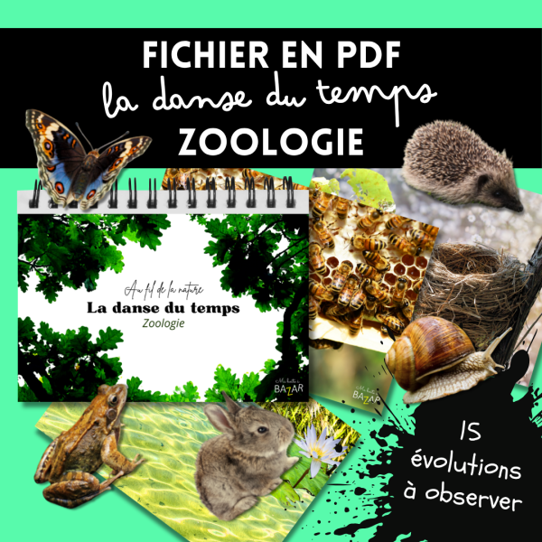 Livret de zoologie à imprimer – La danse du temps : observer l’évolution des animaux