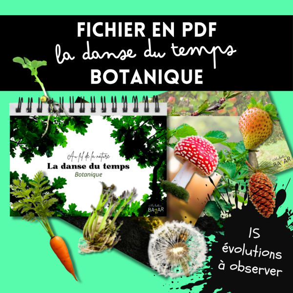 Livret de botanique à imprimer – La danse du temps : observer les plantes évoluer au fil du temps