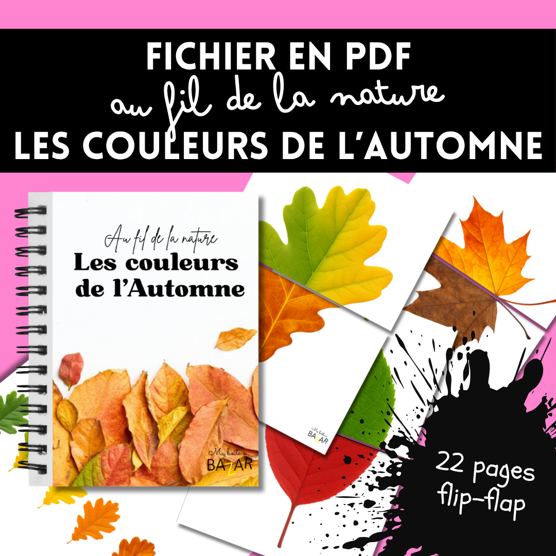 Couleurs de l’automne – Livret flip-flap à imprimer pour observer les feuilles