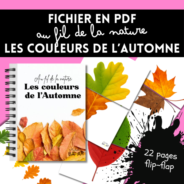 Couleurs de l’automne – Livret flip-flap à imprimer pour observer les feuilles