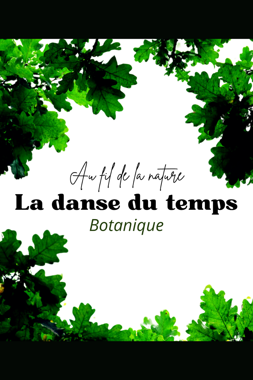 Mon quiet book botanique cycle de vie des végétaux Montessori maternelle primaire