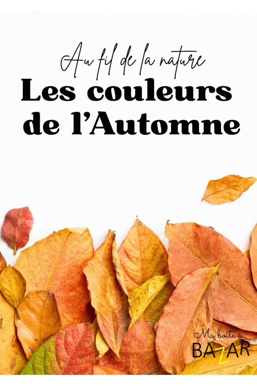 Mon petit livre sur les couleurs de l'automne