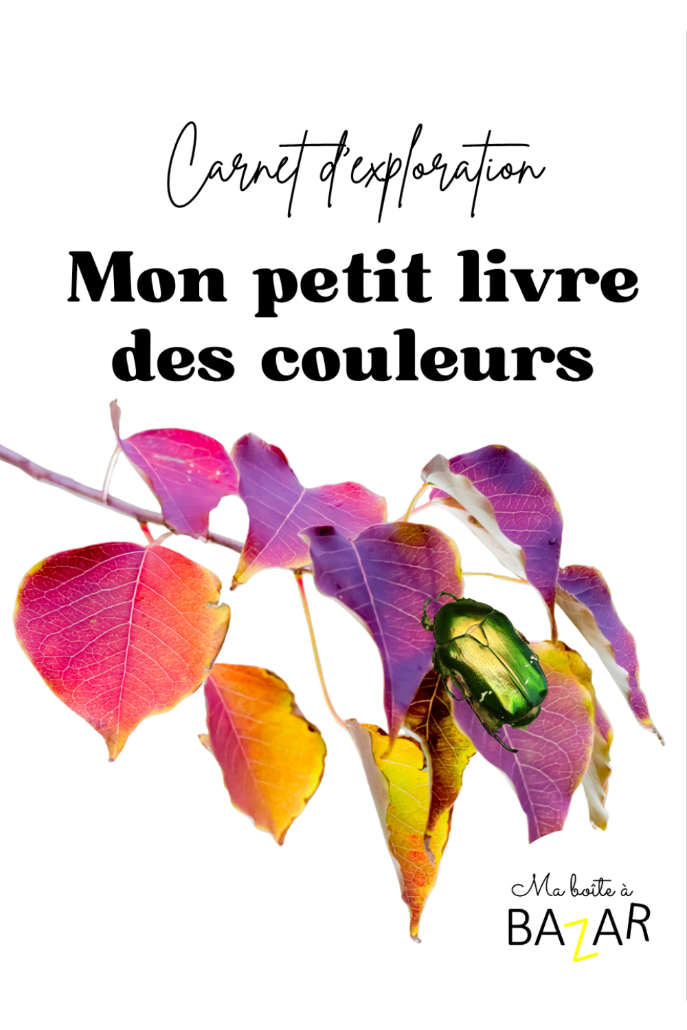 Mon quiet book des couleurs maternelle montessori